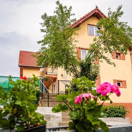 Gabi'S Home #1 Sighișoara Zewnętrze zdjęcie