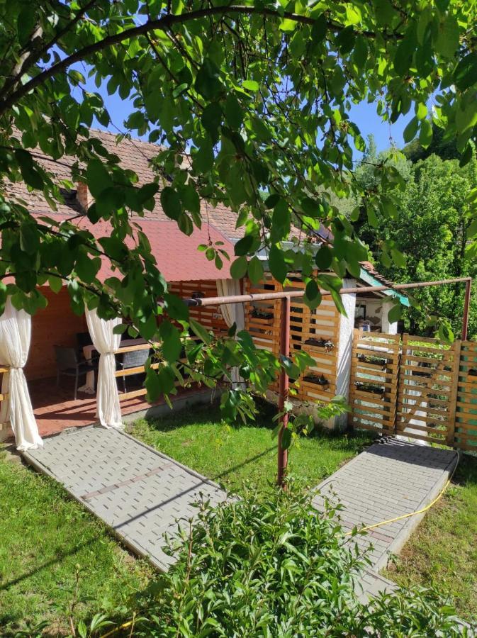 Gabi'S Home #1 Sighișoara Zewnętrze zdjęcie