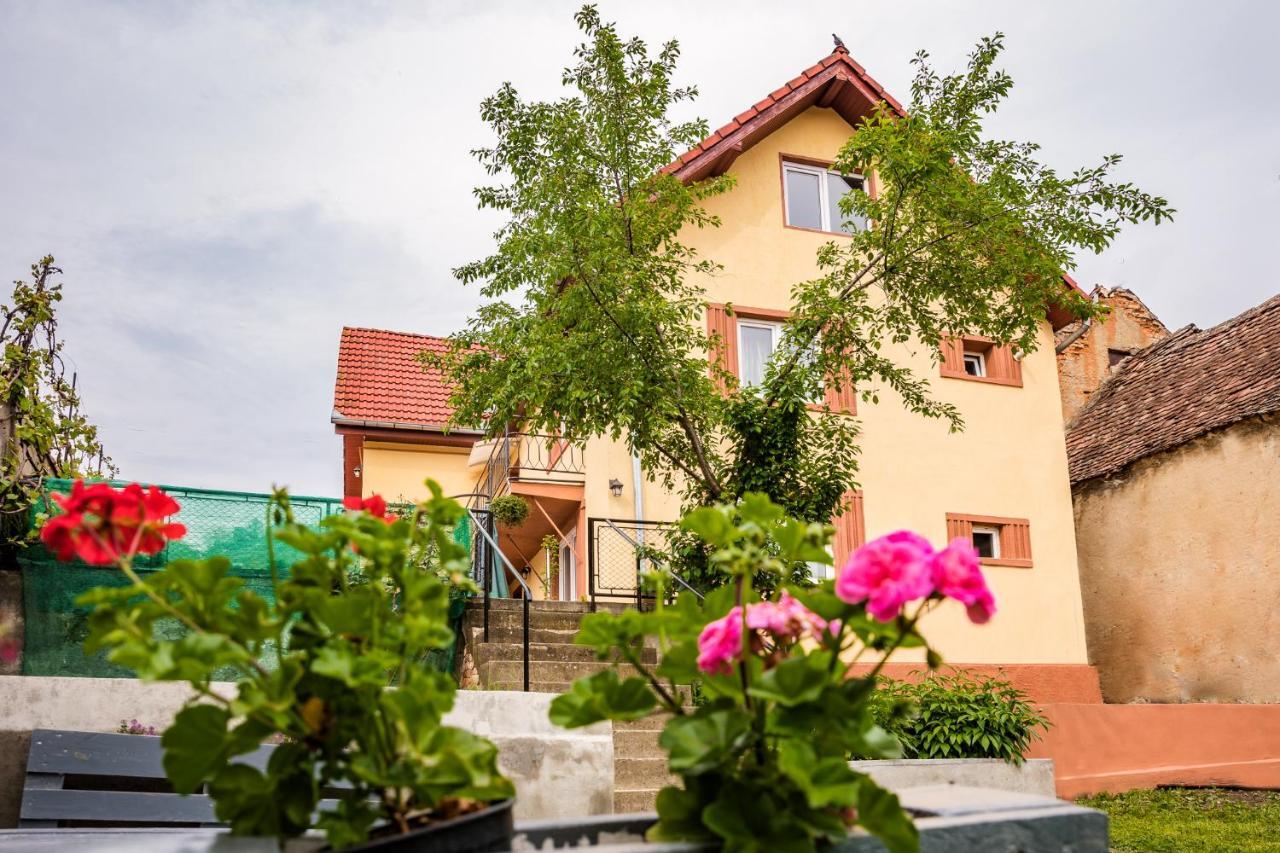 Gabi'S Home #1 Sighișoara Zewnętrze zdjęcie